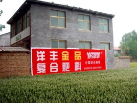 理塘如何让墙体广告展现最大化效果