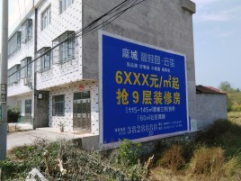 理塘墙体广告质量分析