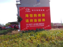 理塘农村墙体广告给农村人民带来方便