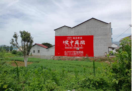 理塘做墙体广告的意义