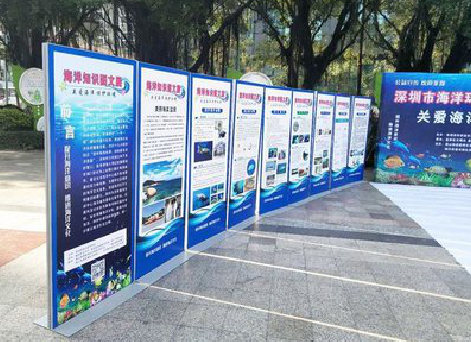 理塘KT板的种类和知识。